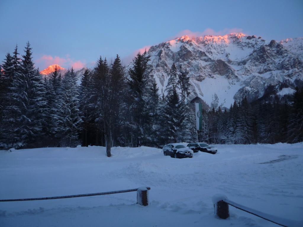 Kraftplatz Am Dachstein - Herold - Fuer Ruhesuchende Und Sportlich Aktive Ramsau am Dachstein Exteriör bild