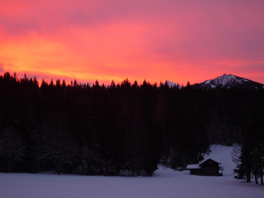 Kraftplatz Am Dachstein - Herold - Fuer Ruhesuchende Und Sportlich Aktive Ramsau am Dachstein Exteriör bild