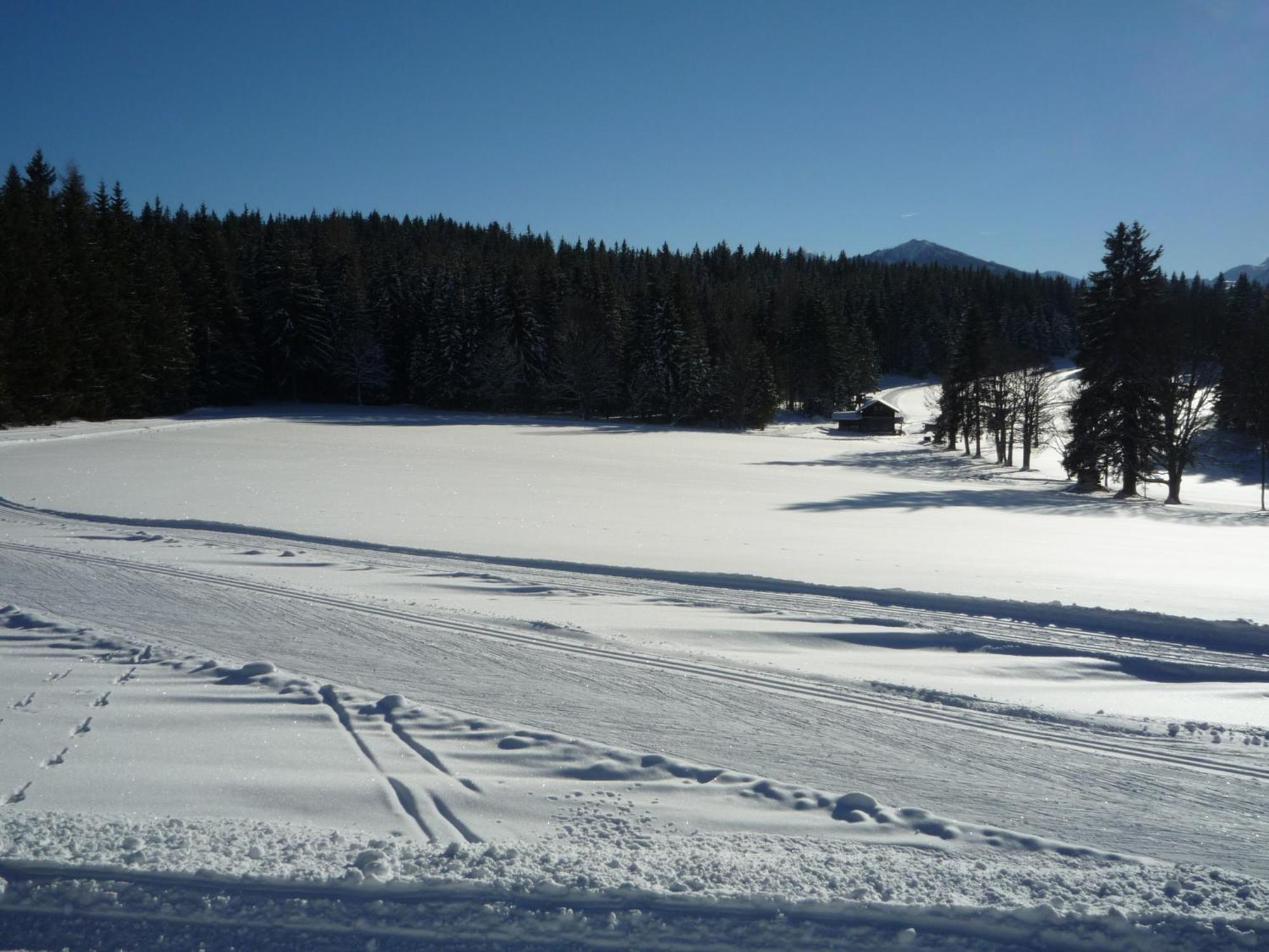 Kraftplatz Am Dachstein - Herold - Fuer Ruhesuchende Und Sportlich Aktive Ramsau am Dachstein Exteriör bild