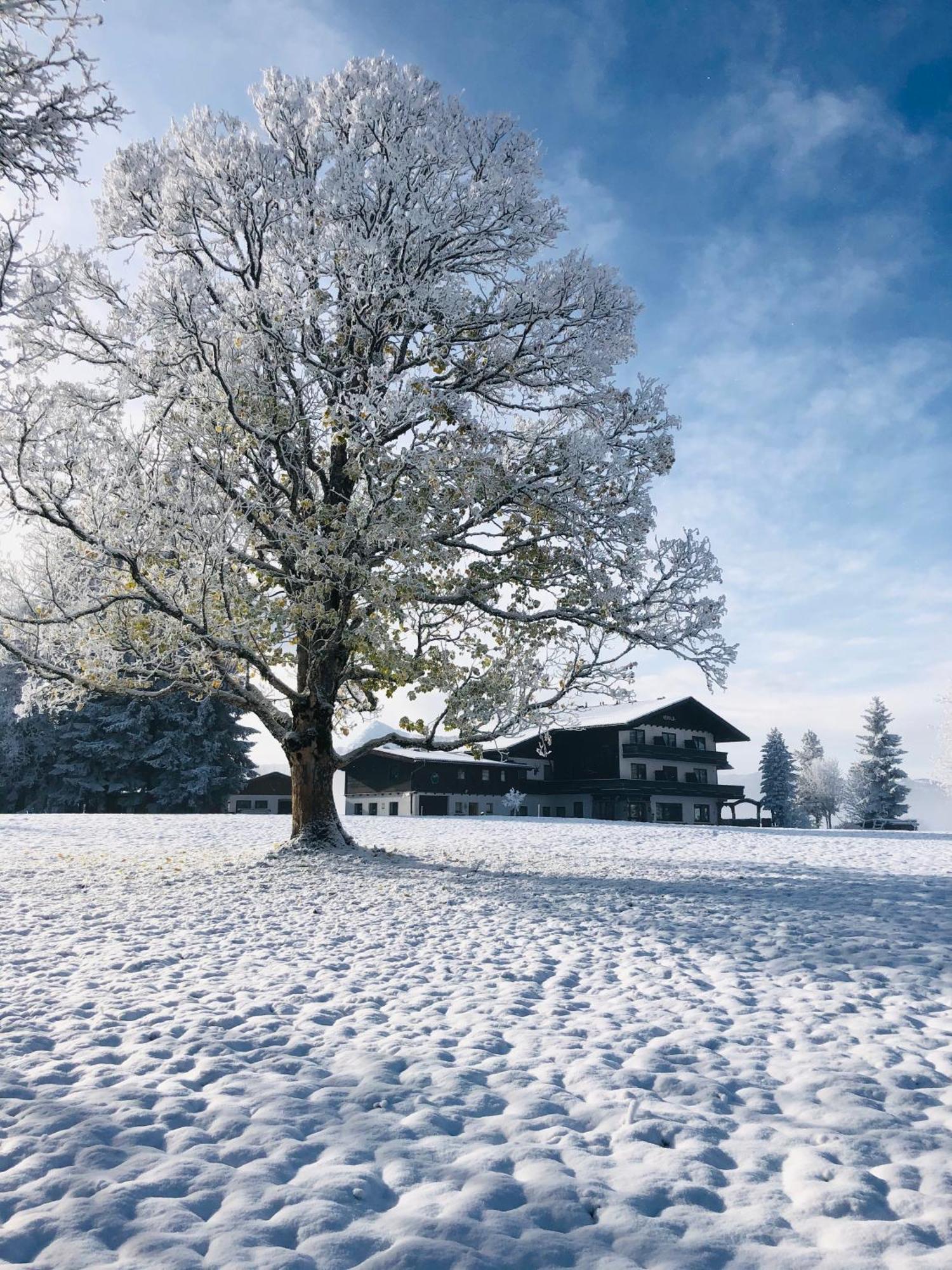 Kraftplatz Am Dachstein - Herold - Fuer Ruhesuchende Und Sportlich Aktive Ramsau am Dachstein Exteriör bild